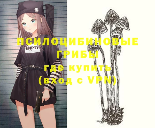 СК Лагань