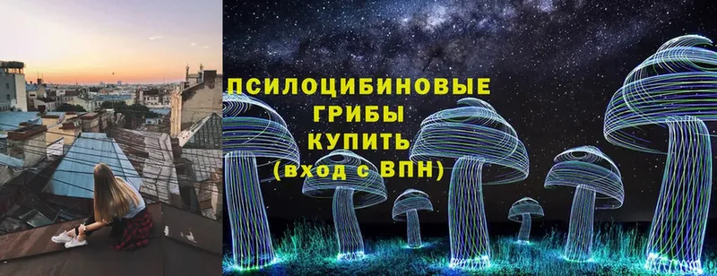 Галлюциногенные грибы Psilocybine cubensis Кукмор